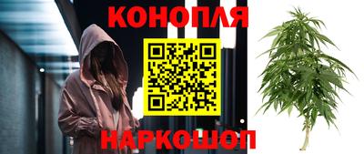 mdpv Донской