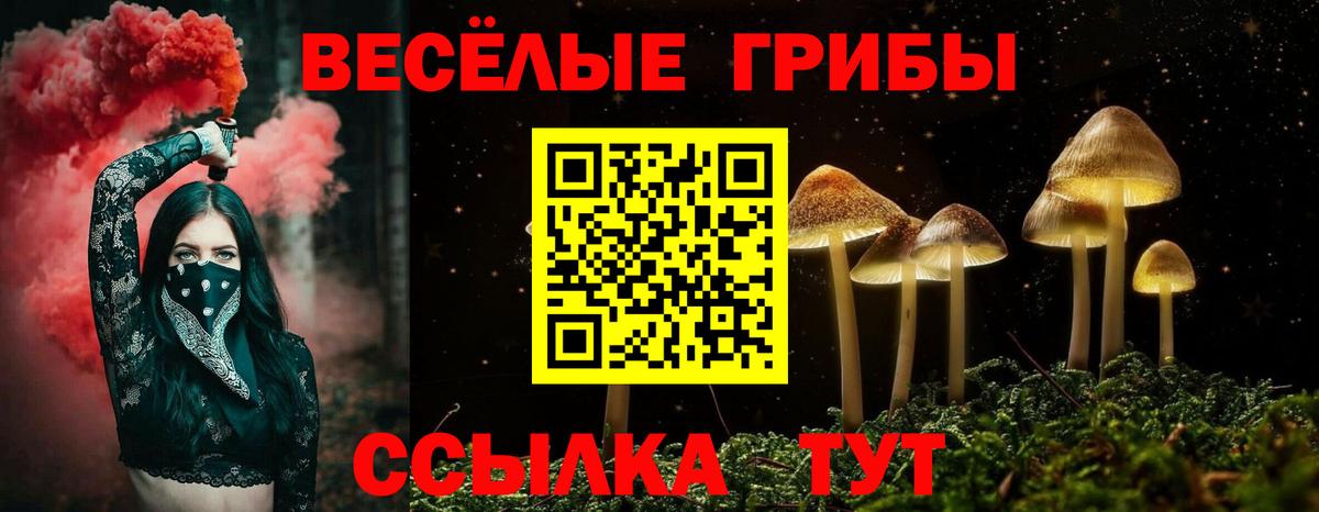 Псилоцибиновые грибы MAGIC MUSHROOMS Менделеевск