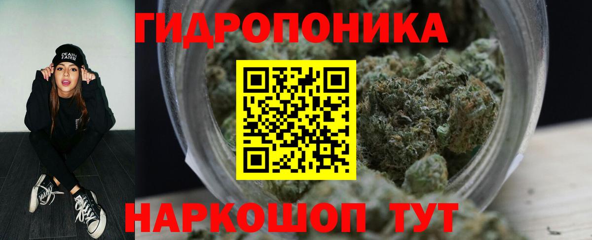 Менделеевск  Конопля план  Вход с VPN  Бошки Шишки конопля  Шишки марихуана ГИДРОПОН 